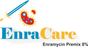 Enracare