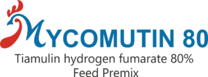 Mycomutin_80%